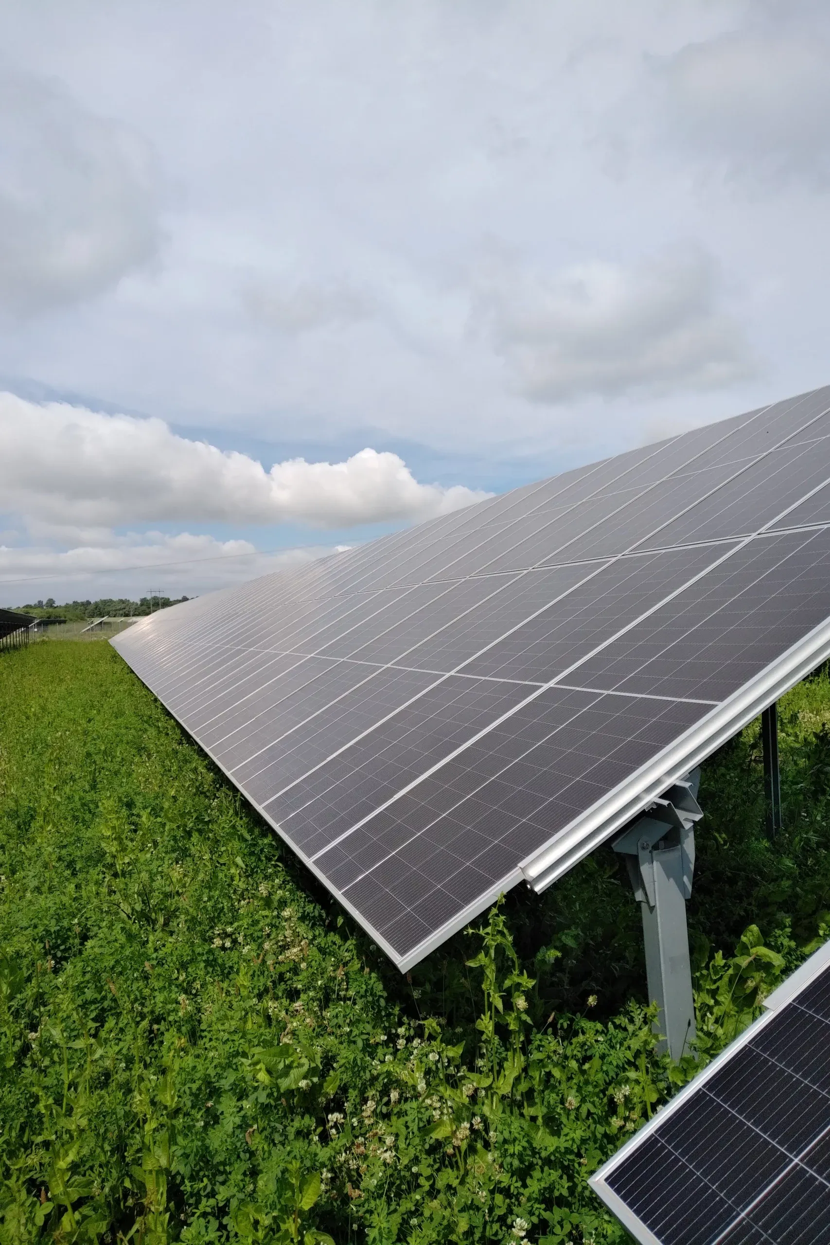 Photovoltaik-Freiflächenanlage auf einer grünen Wiese unter bewölktem Himmel