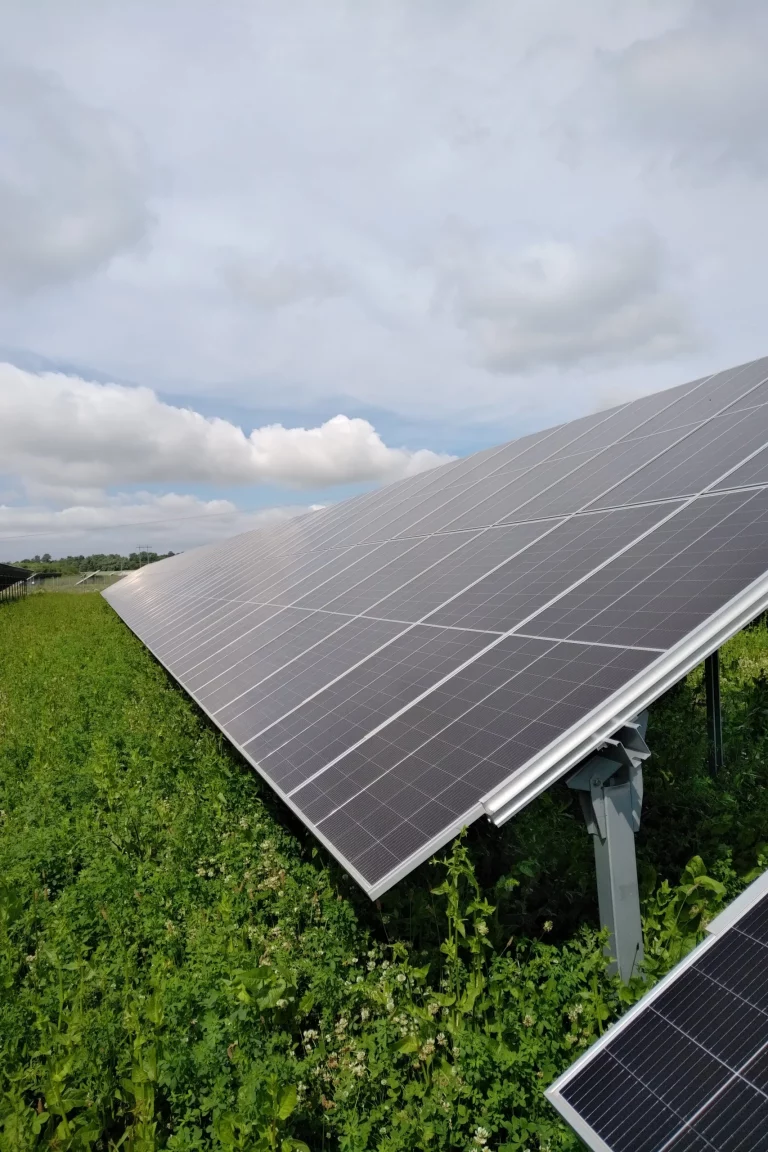 IMG 20220628 1038471 scaled 1 Interaktives Webdesign PV Anlage